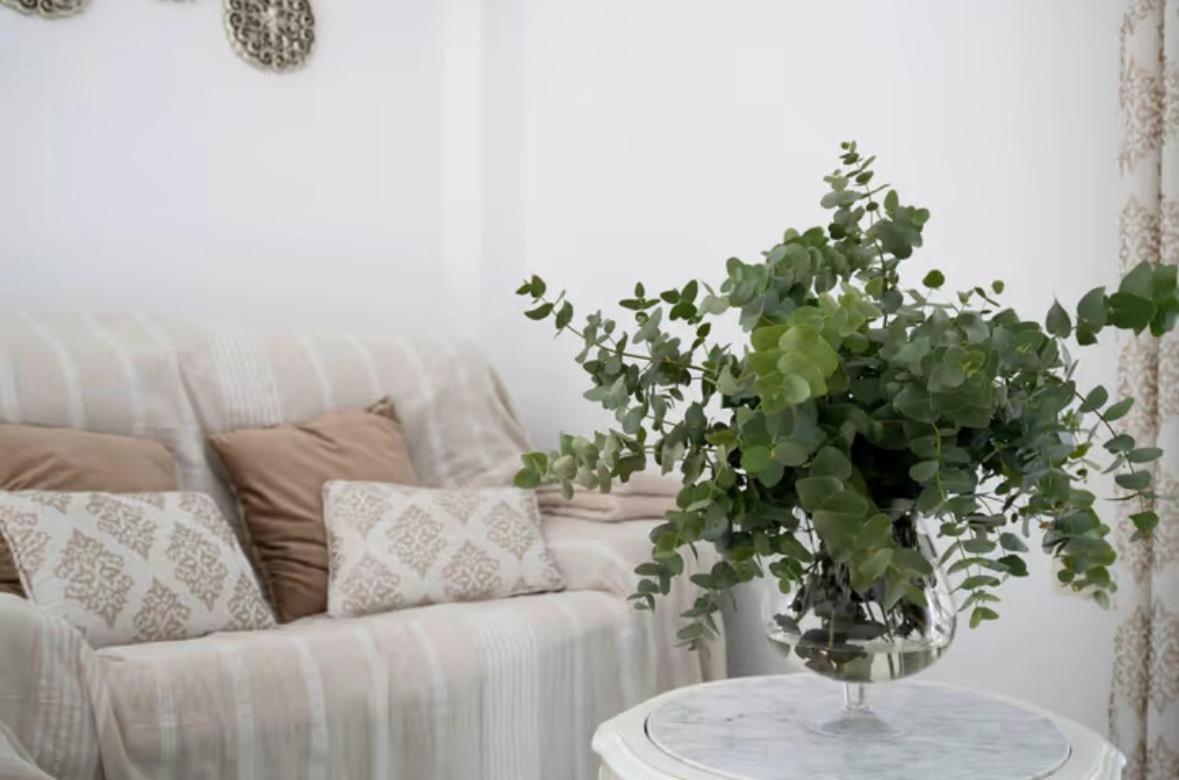 Apartamento Cataleya Ronda Eksteriør billede